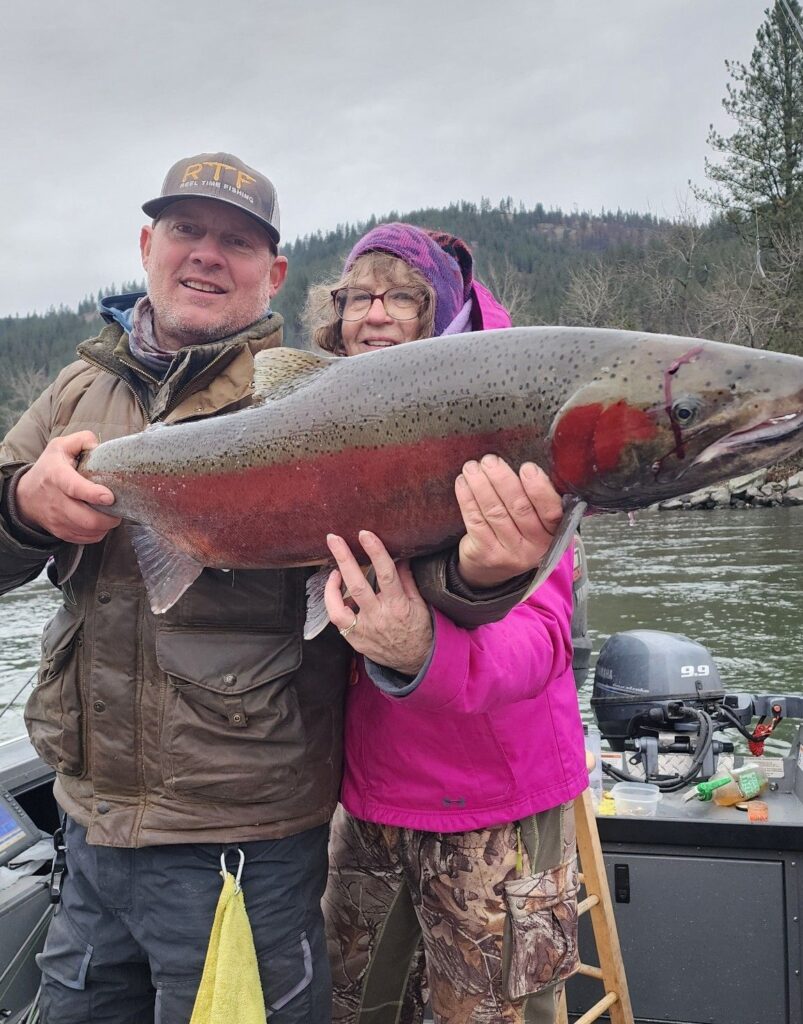 steelhead