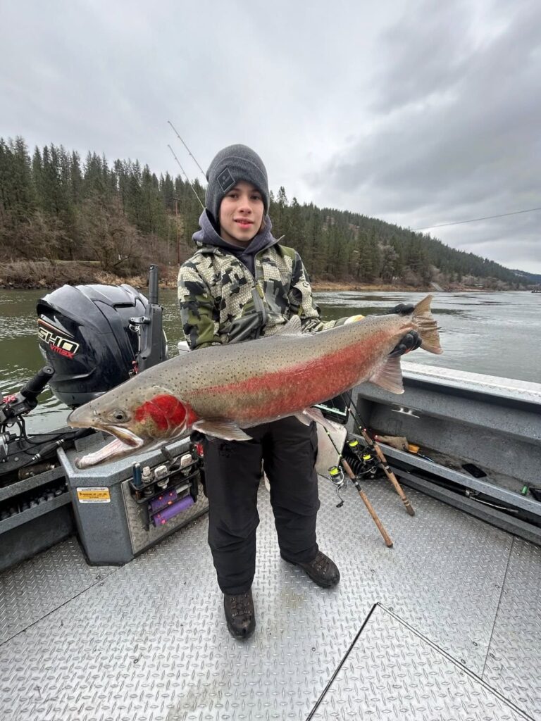 steelheadkid