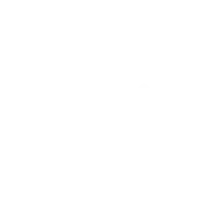 True Value Logo